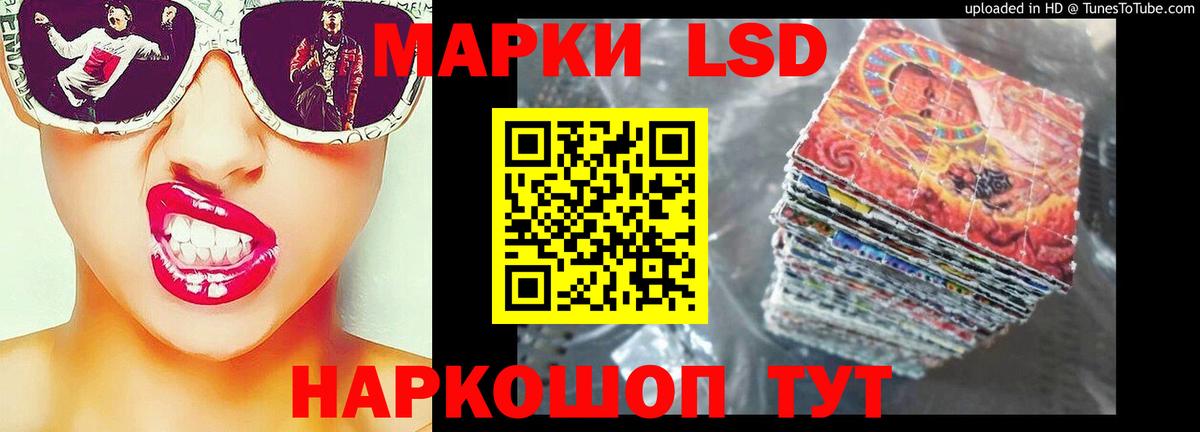 блэк спрут зеркало  Лсд 25 экстази кислота  Вход с VPN  ЛСД экстази кислота  Саров  Лсд 25 экстази 