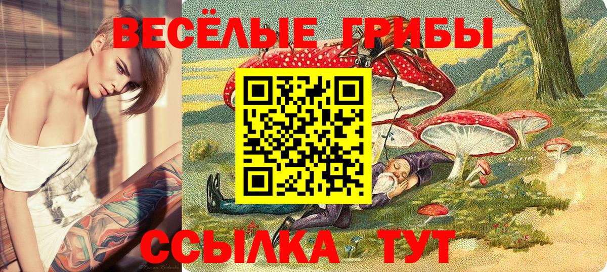 Саров  Галлюциногенные грибы мицелий  магазин продажи наркотиков  Вход с VPN 